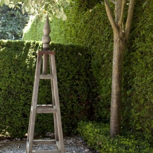 Moveable Garden Obelisk - C. Phaisalakani